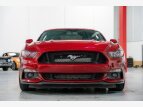 Thumbnail Photo 8 for 2015 Ford Mustang